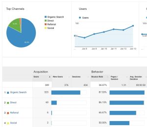 A Beginner’s Guide to Ecommerce SEO