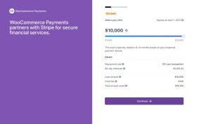 A Beginner’s Guide to U.S. eCommerce Business Grants and Loans