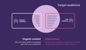 TikTok Marketing: A Guide for WooCommerce Stores