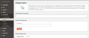 What is a WordPress Staging Site and How Do You Set One Up?